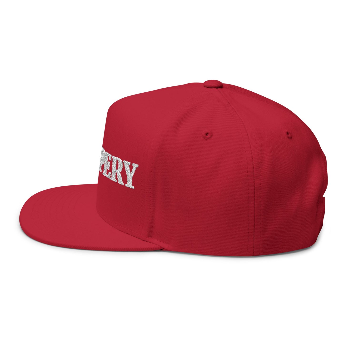 Trumpery Hat, Stylish Snapback Hat, Cap for Activism, Gift for Social Advocates