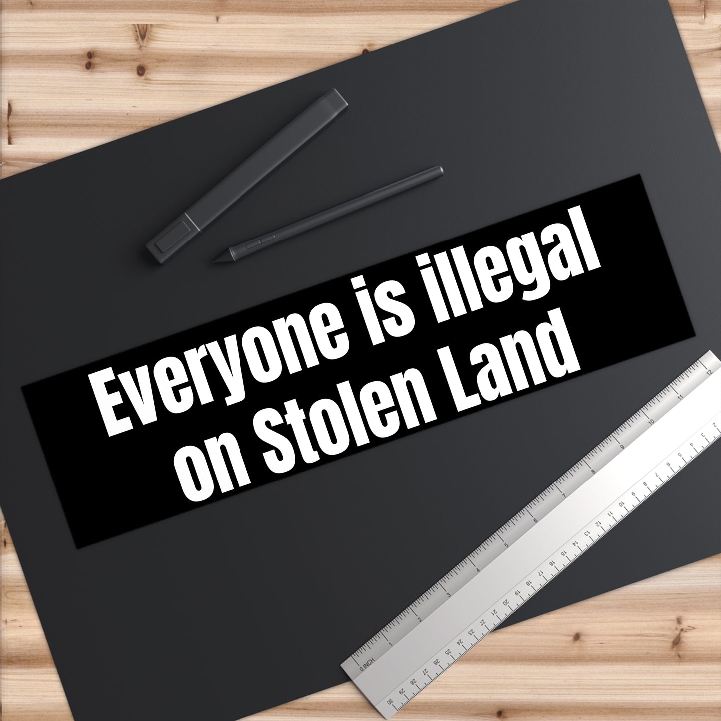 Everyone is illegal on Stolen Land Political Bumper Sticker