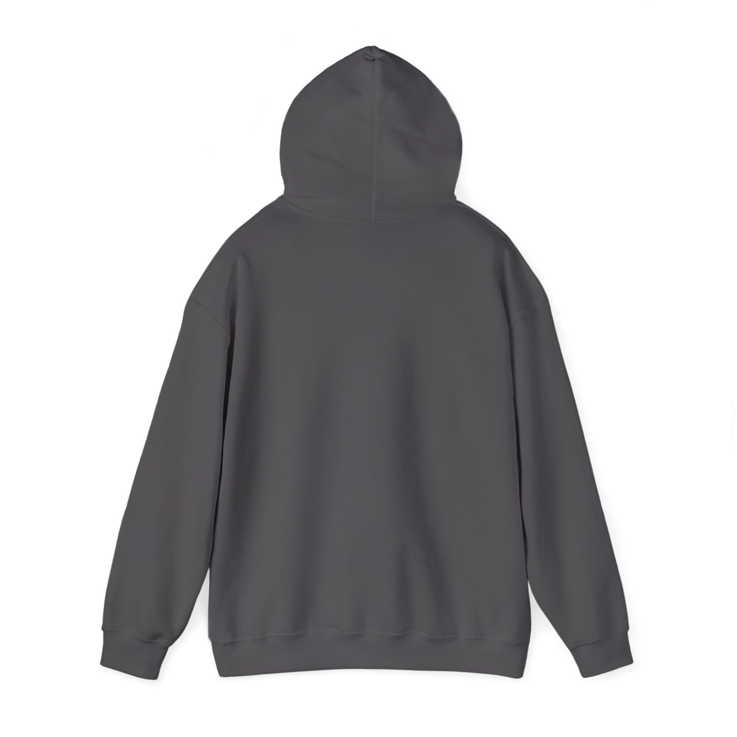 Land of The Free Home of The Ghetto Hoodie, Embroidered Design, Protest streetwear