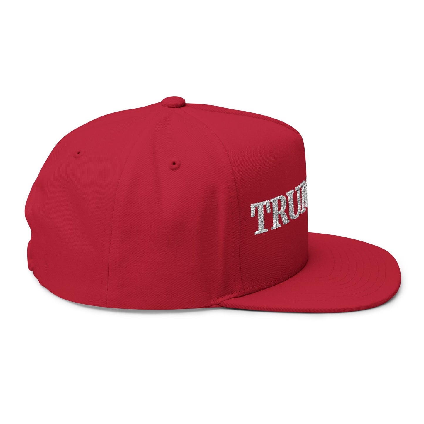 Trumpery Hat, Stylish Snapback Hat, Cap for Activism, Gift for Social Advocates