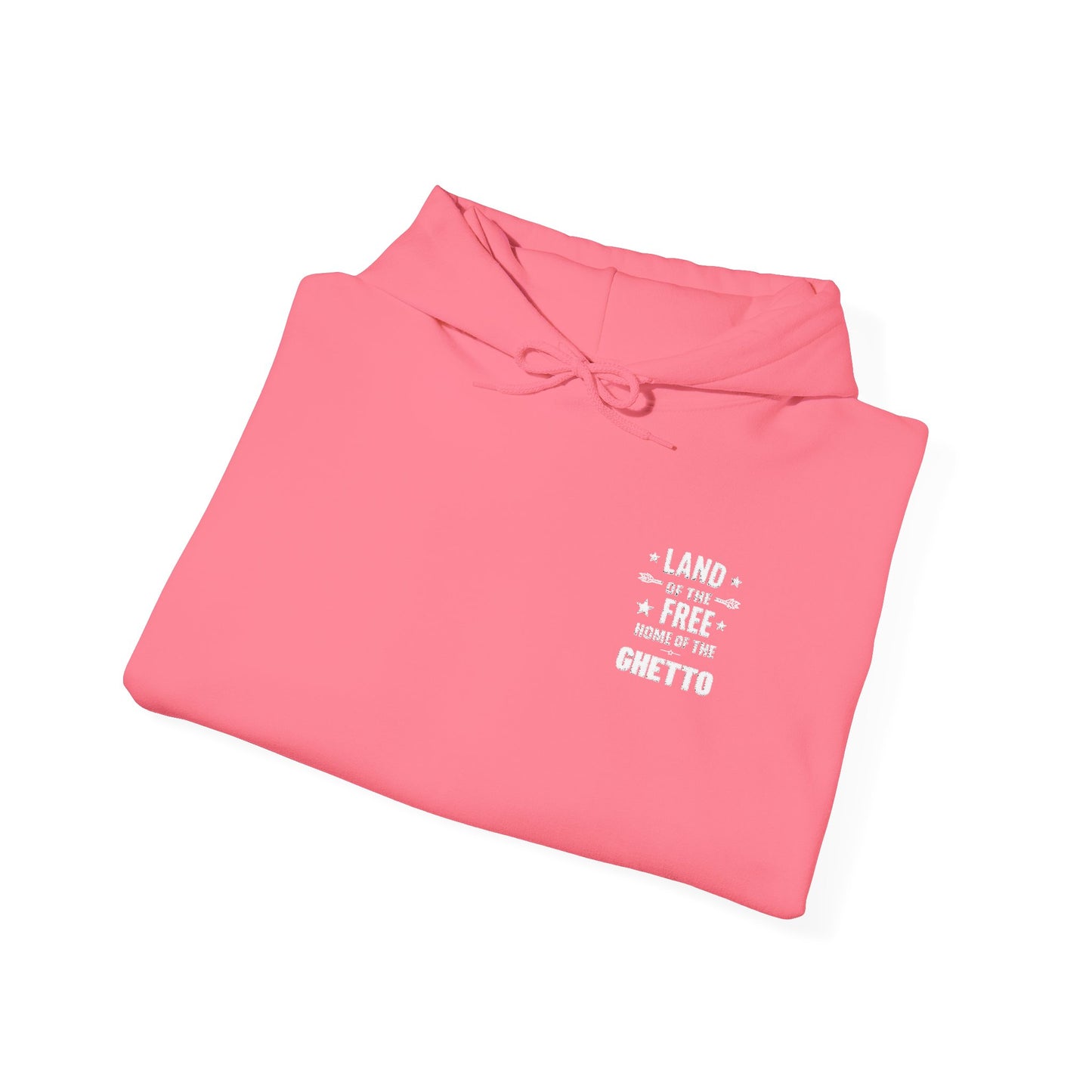 Land of The Free Home of The Ghetto Hoodie, Embroidered Design, Protest streetwear