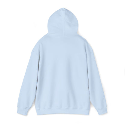 Red White and Broke Hoodie