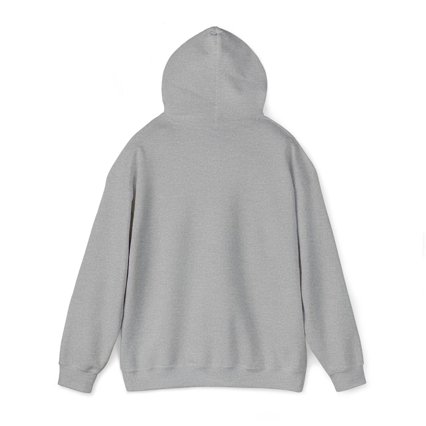 Red White and Broke Hoodie