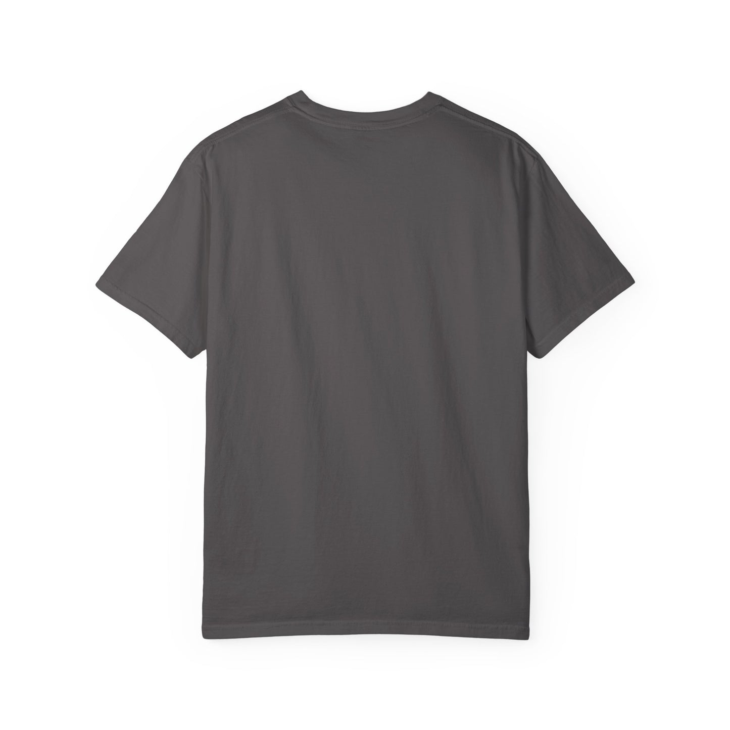 The Wrong Ice Is Melting The Wrong Amazon Is Burning Eco-Conscious Unisex T-Shirt - Climate Change Awareness Tee