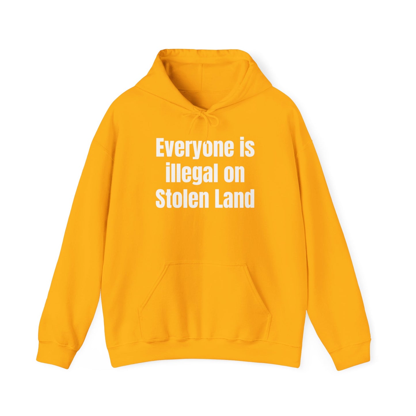 Everyone is illegal on Stolen Land  - Unisex Heavy Blend™ Hooded Sweatshirt