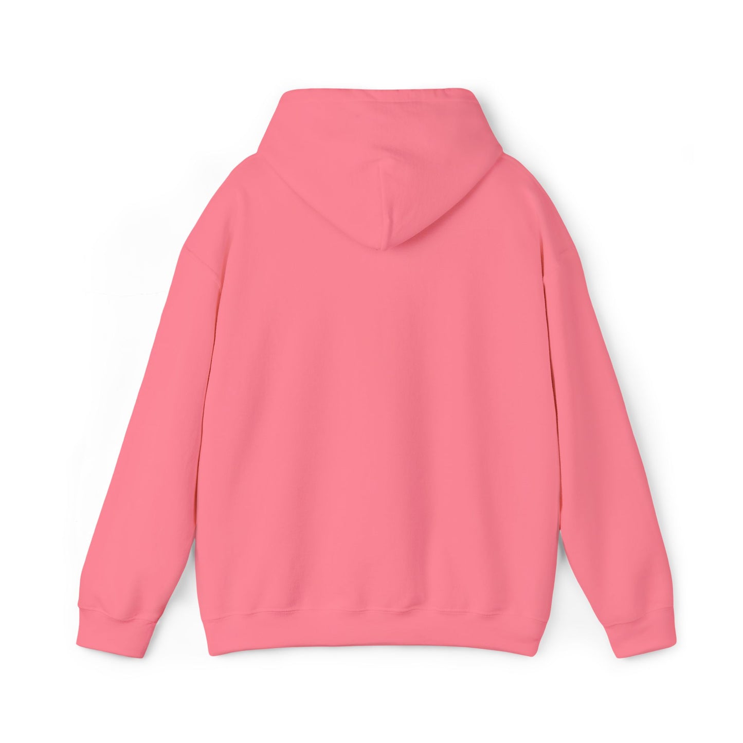 Red White and Broke Hoodie