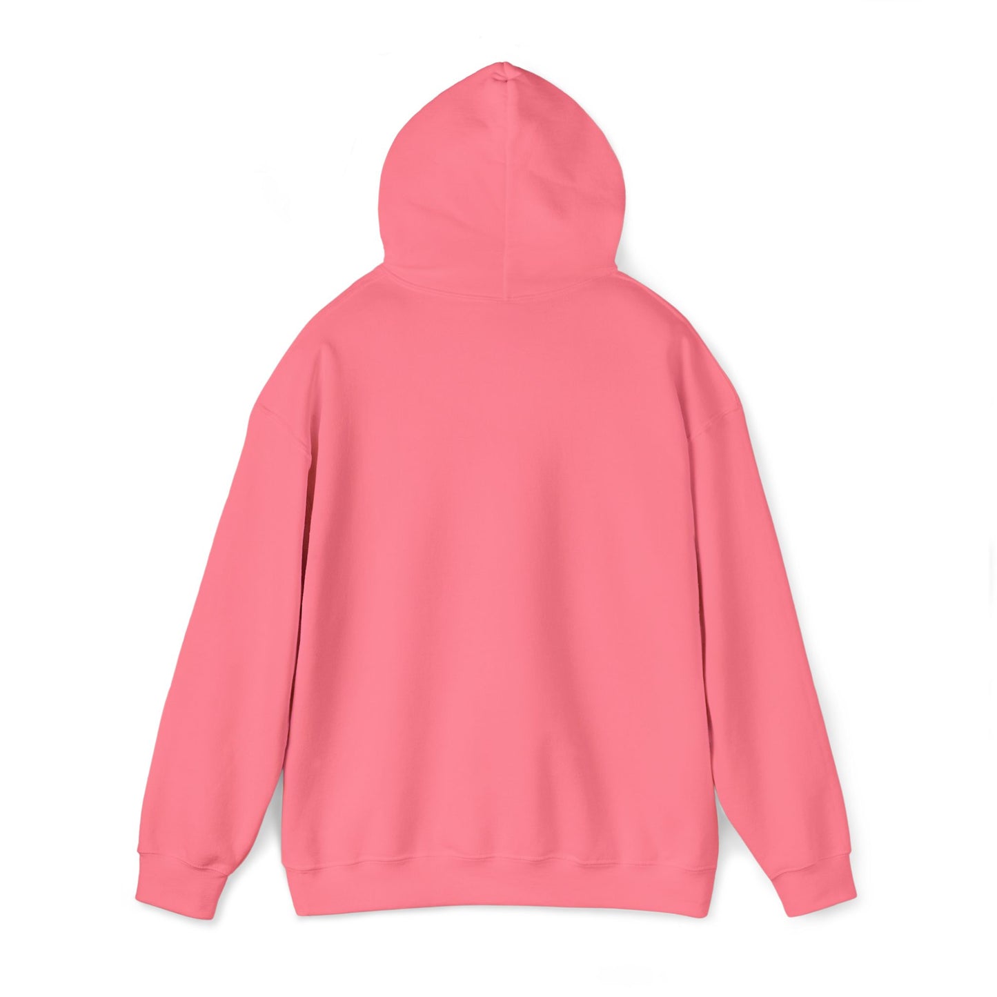 Red White and Broke Hoodie