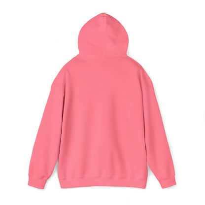 Red White and Broke Hoodie