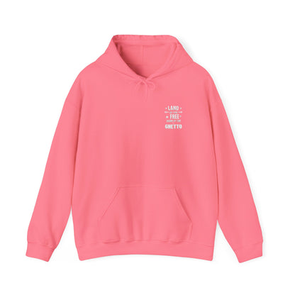 Land of The Free Home of The Ghetto Hoodie, Embroidered Design,  Protest streetwear